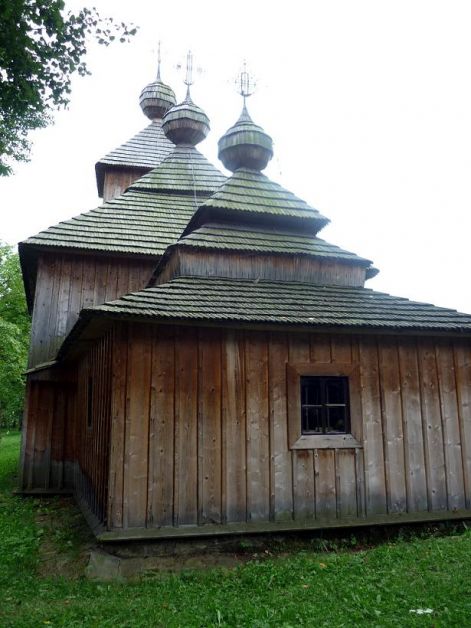 p1000824-jedlinka.jpg